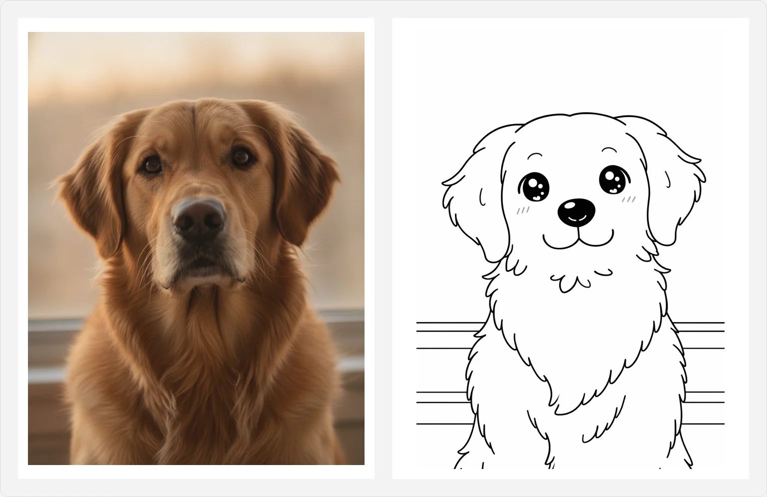A photo of a golden retriever on the left and the Kawaii style coloring page made from it on the right